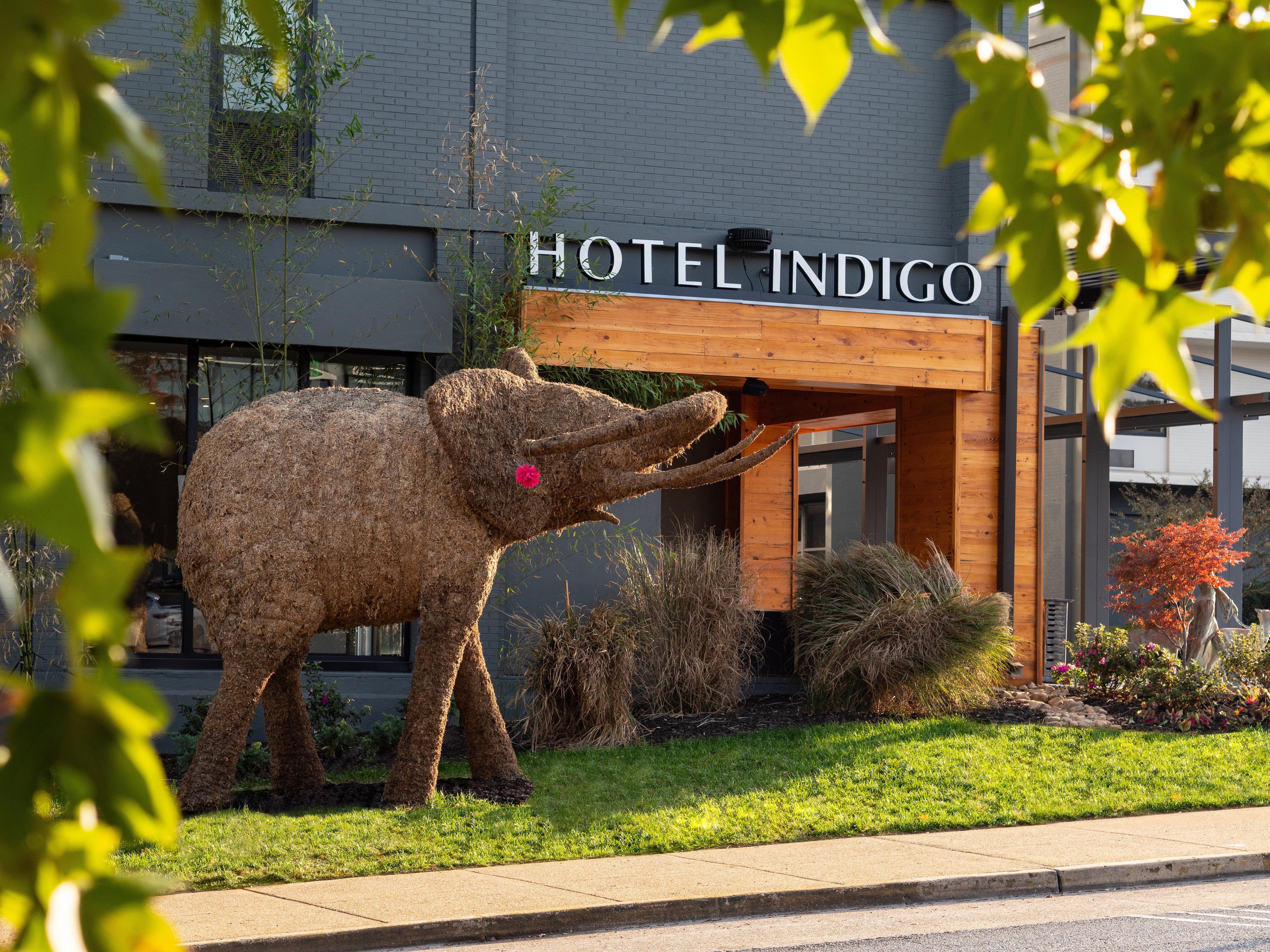 Hotel Indigo Chattanooga - Downtown, An Ihg Hotel Exterior photo